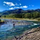 Man fly fishing in a shallow river near Canmore, Alberta